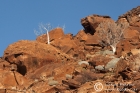 Rock formations at Twyfelfontein
