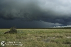 Thunderstorm at Andoni plains, Etosha 