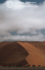 Fog in the dunes of Sossusvlei